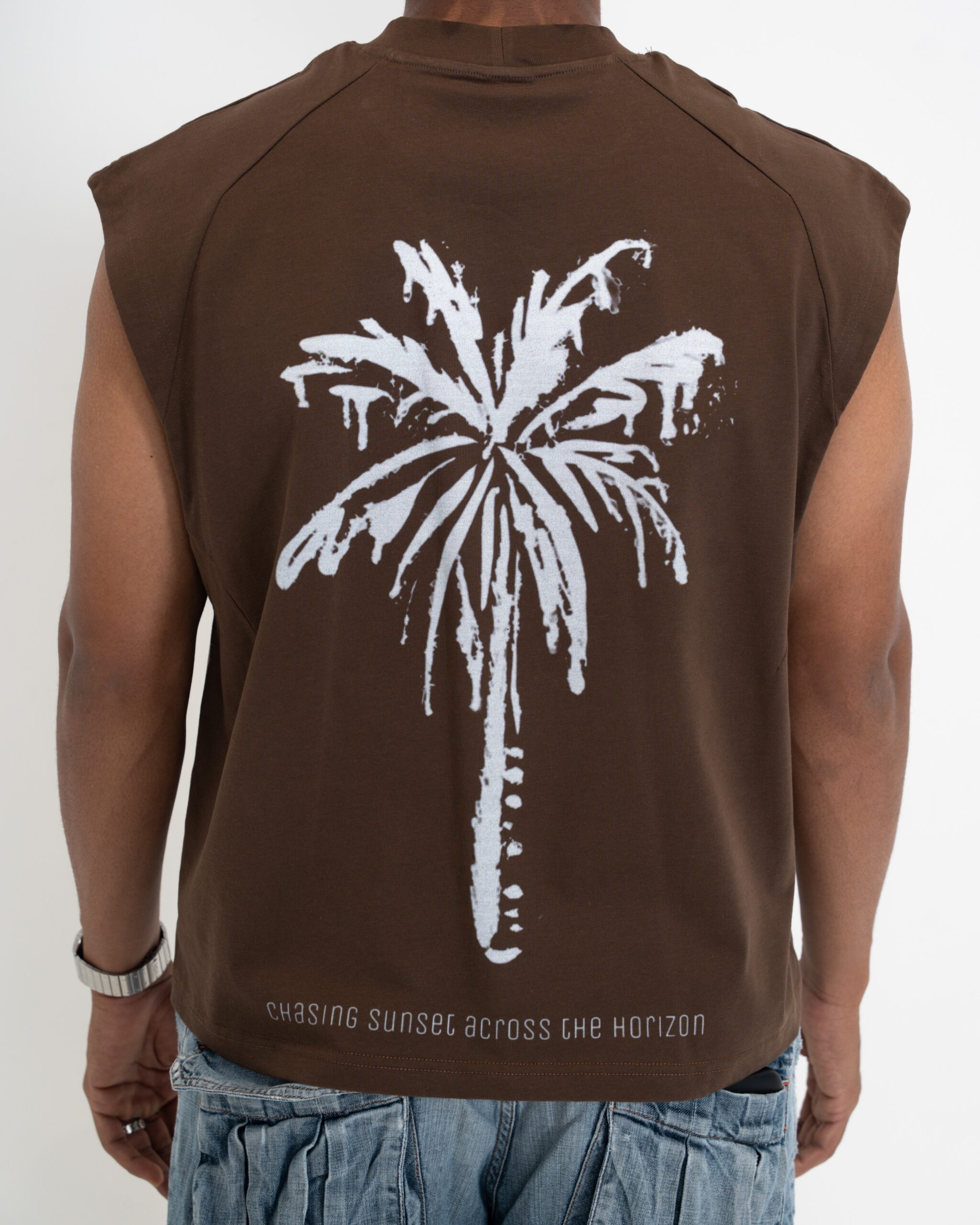 sunset palm sunset palm